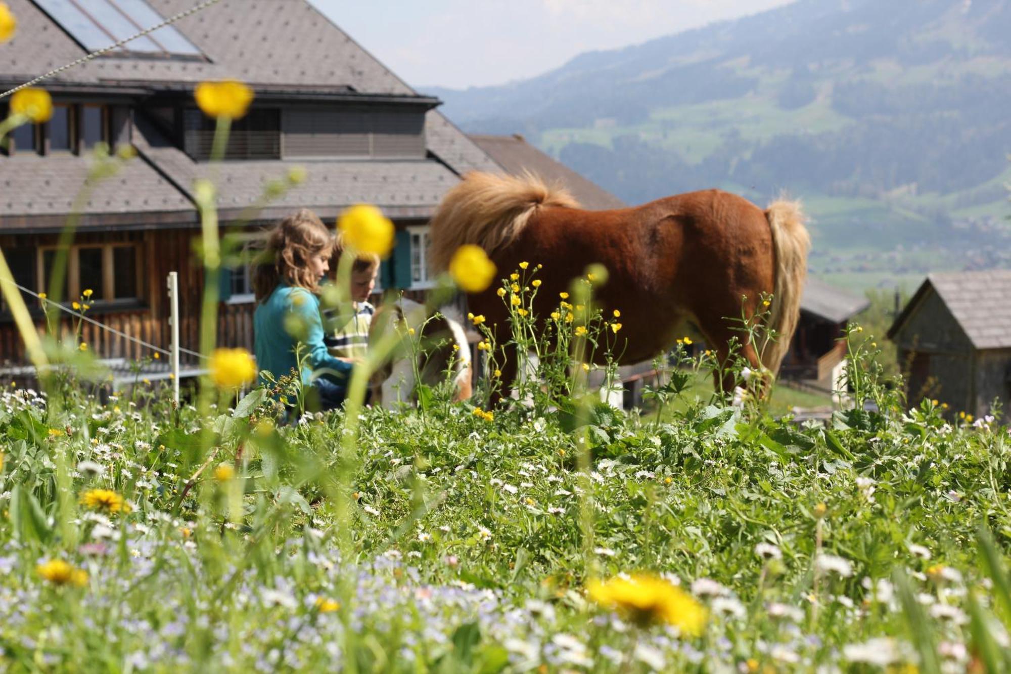 Bio Ferienbauernhof Greber Villa Schwarzenberg im Bregenzerwald Buitenkant foto