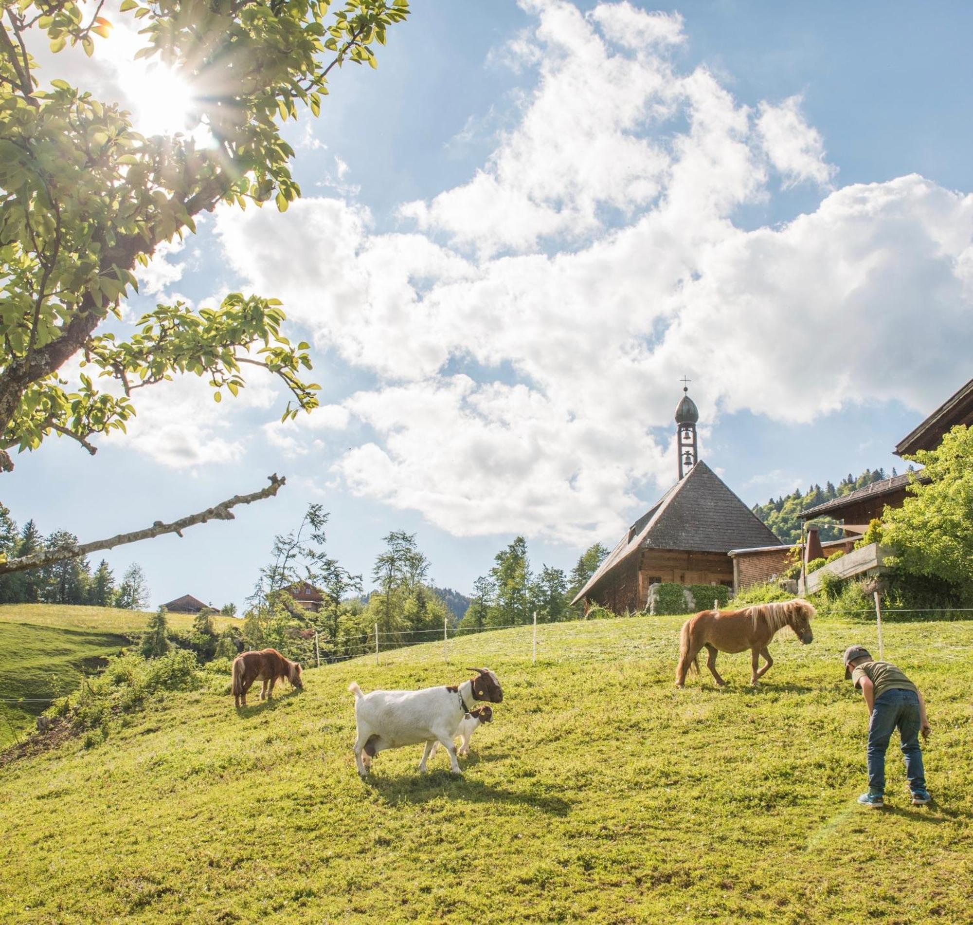 Bio Ferienbauernhof Greber Villa Schwarzenberg im Bregenzerwald Buitenkant foto